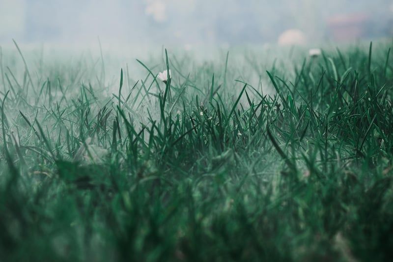 Mystical Landscape
